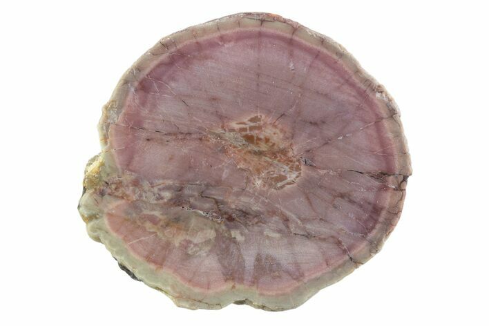 Polished Cold Mountain Thunderegg (Half) - Mexico #373352